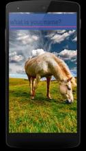 Horses memory game - beautiful photos of horses截图5