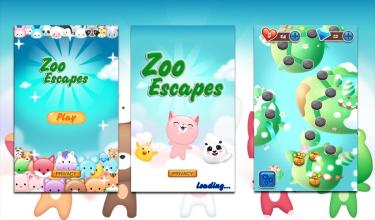 Zoo Escapes截图2