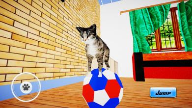 Cat Simulator : Kitten截图4