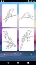 Birds Coloring Book截图5