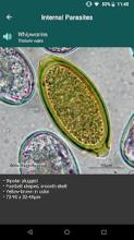 CAPC Internal Parasites ID截图1