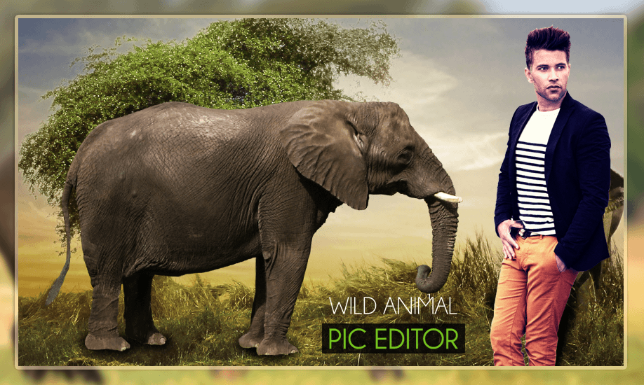 Wild Animal Photo Editor - Animal Photo Frames截图2