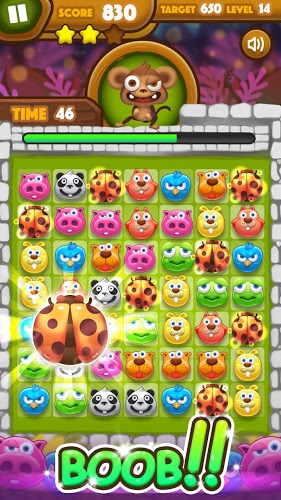 Pet Line Pop截图4