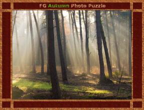 FG Autumn Photo Puzzle截图3