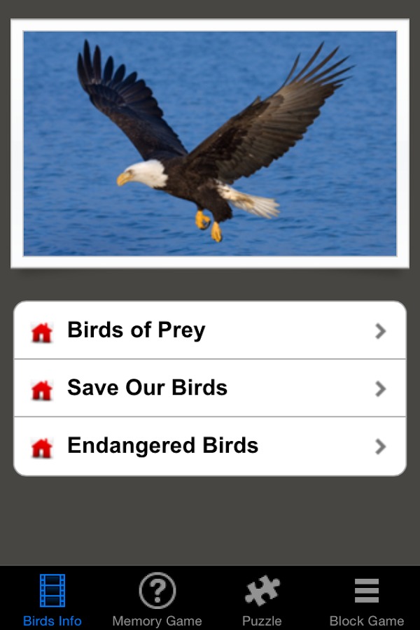 Save Birds Are Angry截图1