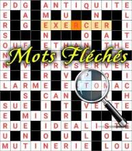 France Crossword Puzzle Free截图3