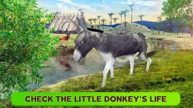 Donkey Simulator - Little Horse Wildlife Simulator截图4