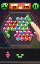 Block Hexa Puzzle (Free)截图4