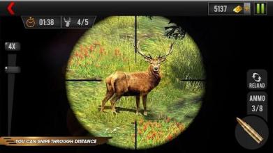 Wild Deer Hunting Animal Sniper Shooter Strike截图3