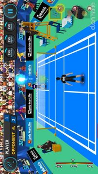 3D专业羽毛球挑战截图