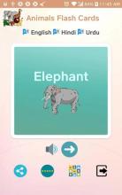 Animals Talking Flashcards for Kids截图2