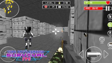 Cube Battleground Survival FPS截图3