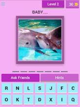 Cute Baby Animals - Guess The Names截图3