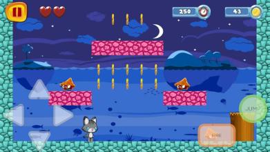 Super Tom Cat Adventure截图3