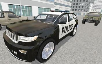 Real Police City Car Chase截图5