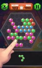 Block Hexa Puzzle (Free)截图1