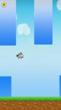 Skip Fly Bird截图4