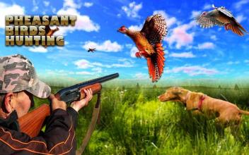 Pheasant Bird Hunting: Wings Sniper Shooting 2018截图4