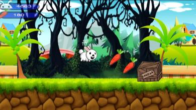 Rabbit Crazy Run- Bunny Adventure截图4