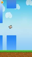 Skip Fly Bird截图3