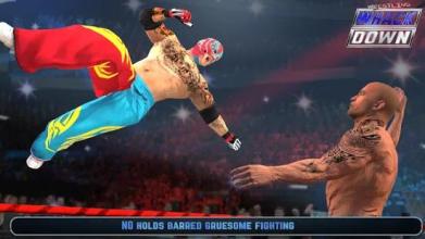 Wrestling Whackdown - Wrestling Games截图5