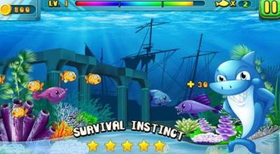 Hungry Fish - Crazy Shark截图5