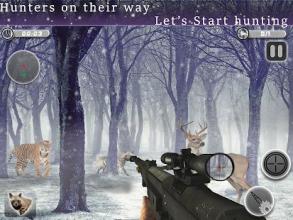 Animal Sniper Hunting Expert Multilevel Shooting截图4