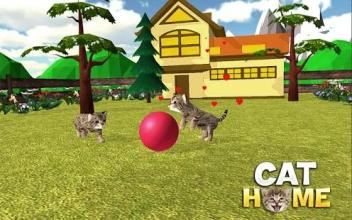 Cat Home : Kitten Daycare & Kitty Care Hotel截图4