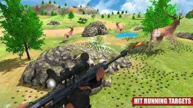 Animal Hunting Safari 2018截图4