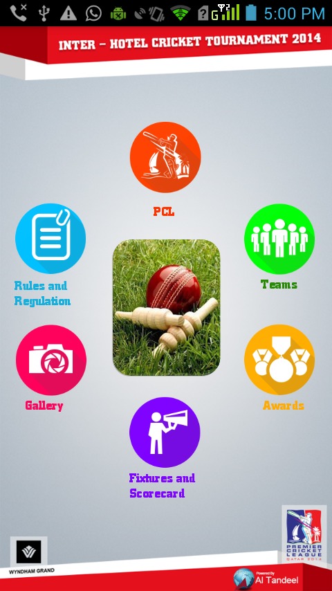 Premium Cricket League截图3