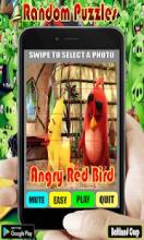 Random Angry Red Bird Puzzles截图3