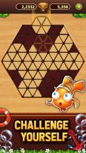 Trigon Wood: Triangle Block Puzzle截图2