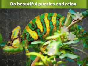 Zoo Jigsaw Puzzles for Family - Puzzle Games截图3