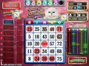 Glamour Puss Bingo Kitty Cash Cats FREE截图5