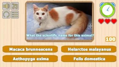 Guess Animal Scientific Names截图4