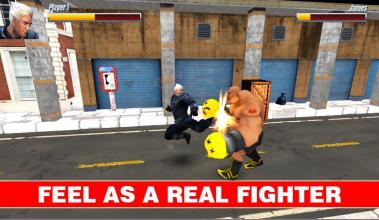 Street Fighting: Heroes Kickboxing截图4