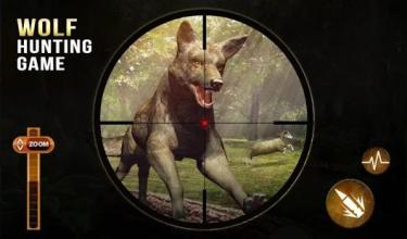 Wild Wolf Safari Animal Sniper Hunting Game截图3