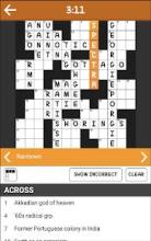 CrossWord Puzzle in English截图1