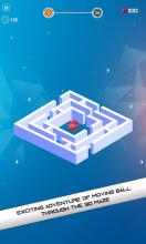 The Labyrinth Maze Ball Games截图1