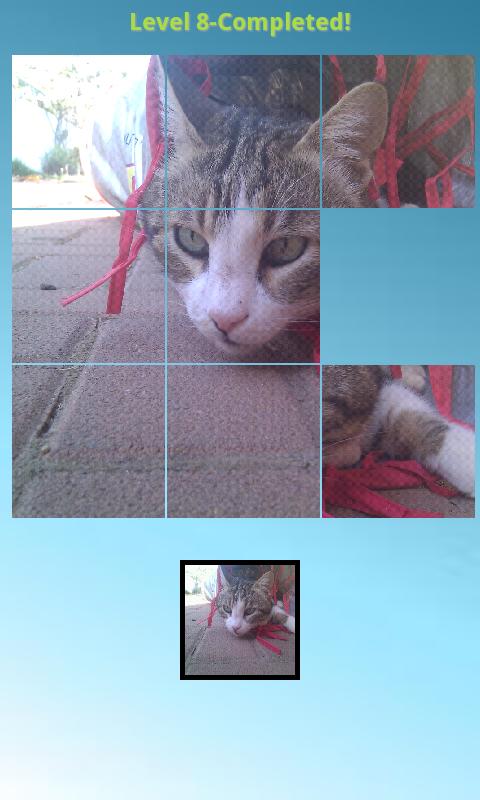 Puzzle Your Photos截图1