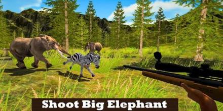 Lion Hunting Season 2018: Shooting Jungle Animals截图2