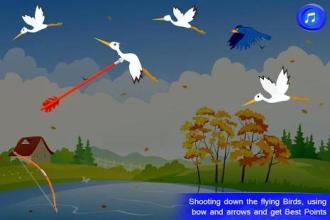 Bird Hunting Shoter截图3