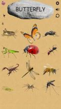 Insects - Learning Insects. Practice Test Sound截图5