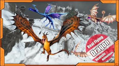 Flying Dragon Race 3d截图2