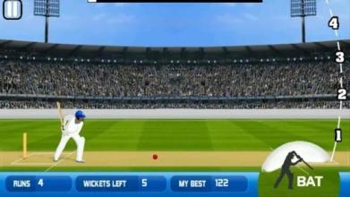 Cricket 2 mb Games截图3