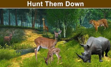 Wild Animals Hunting in jungle截图2