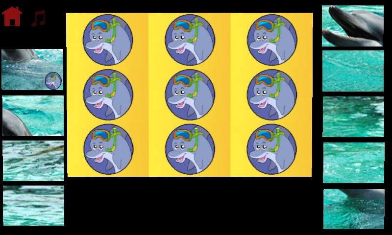 dolphins puzzle for kids截图2