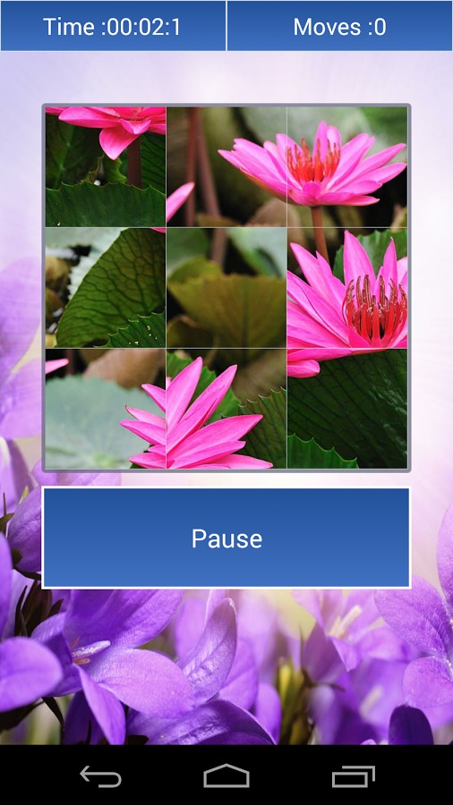 Flowers Lovers Puzzle截图3