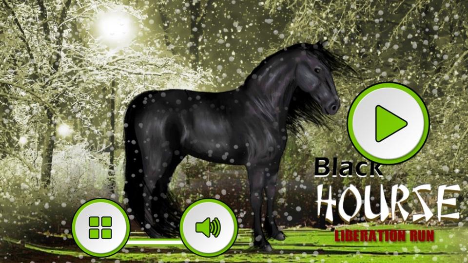 Black Horse Liberation Run截图4