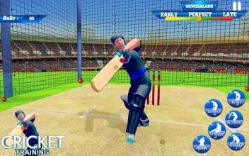 T20 Cricket Training : Net Practice Cricket Game截图3